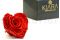 A Black Box With an Extra Large Vibrant Red Artificial Heart-Shaped Rose Made with Natural Preserved Petals