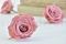 A Box of Six Large Artificial Roses Head Made With Preserved Rose Petals in a Romantic Pink Hue that are Wide Open