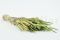 A Large Bunch of Dried Green Phleum Pratensis in a Sleave