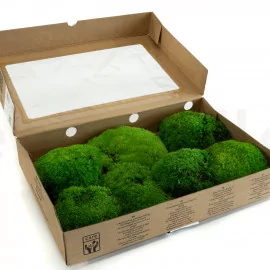Preserved Preserved Sphagnum Moss - Bulk Box 1,5 kg - Green