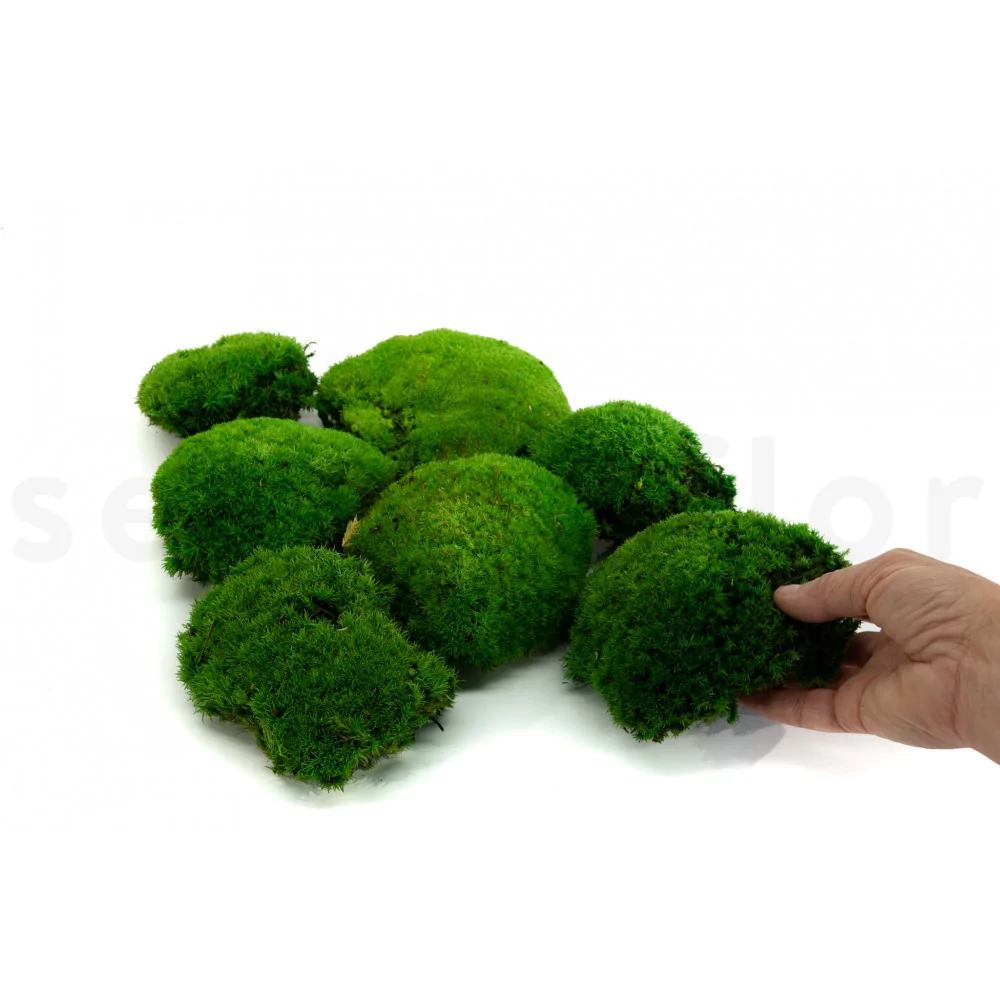 Dried Moss Balls - Preserved - 2-12 inch diameter