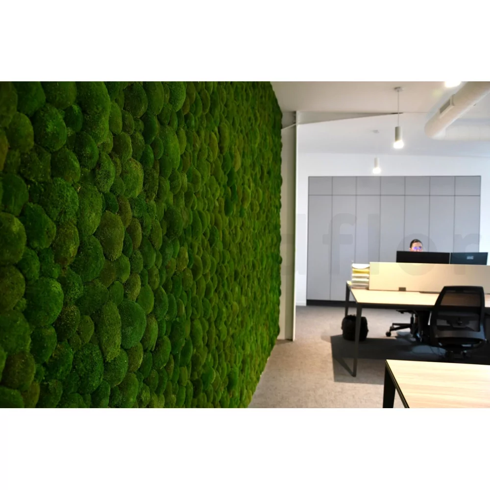 Preserved Ball Moss  Forest Green Bulk Box – Company Interiors