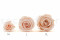 A Box Containing 6 Extra Large Pink Blush Eternal Rose Heads From Kiara