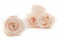 A Box Containing 6 Extra Large Pink Blush Eternal Rose Heads From Kiara