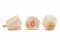 A Box Containing 6 Extra Large Pink Blush Eternal Rose Heads From Kiara