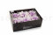 A Box of 6 Bicolor White and Purple Preserved Gardenia