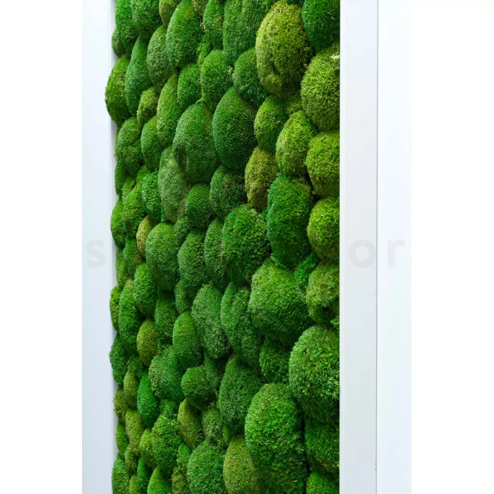 Large Green Faux Moss Ball – Cowshed Interiors Limited