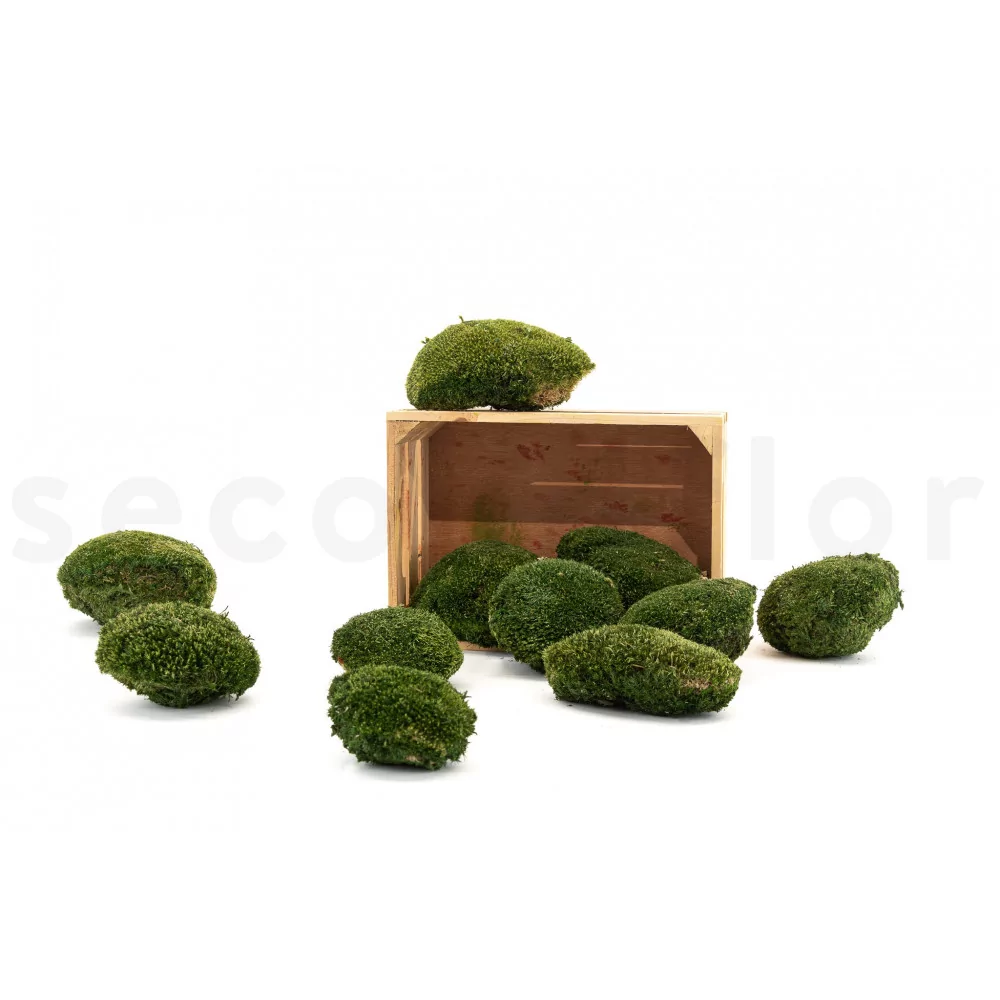 Preserved Ball Moss Bulk Box 2.7 kg Dark Green