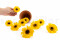 One Box of 9 Yellow Preserved Gerbera Heads that Look Like Faux Tournesol