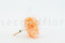 One bouquet of preserved light orange hydrangea with and without packaging