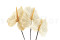 Three preserved white anthurium stems and flowers with and without packaging