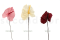 Three preserved white anthurium stems and flowers with and without packaging