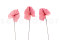 Three preserved princess pink anthurium stems and flowers with and without packaging