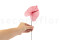 Three preserved princess pink anthurium stems and flowers with and without packaging