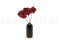 Three preserved red anthurium stems and flowers with and without packaging