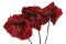 Three preserved red anthurium stems and flowers with and without packaging