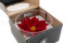 One box of a preserved poinsettia from Roseamor