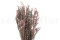 Pink Preserved Heather in Bunches for Floral Arrangements