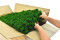 5 kg of Preserved Premium-Quality Nature Green Reindeer Moss Sold Wholesale for Green Walls