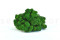 5 kg of Preserved Premium-Quality Nature Green Reindeer Moss Sold Wholesale for Green Walls