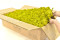 5 kg of Preserved Premium-Quality Lime Green Reindeer Moss Sold Wholesale for Green Walls