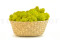 5 kg of Preserved Premium-Quality Lime Green Reindeer Moss Sold Wholesale for Green Walls