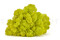 5 kg of Preserved Premium-Quality Lime Green Reindeer Moss Sold Wholesale for Green Walls