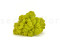 5 kg of Preserved Premium-Quality Lime Green Reindeer Moss Sold Wholesale for Green Walls