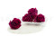 A Box Containing 6 Extra Large Preserved Rose Heads in Velvet Plum From Kiara