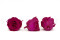 A Box Containing 6 Extra Large Hot Pink Eternal Rose Heads From Kiara