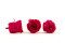 A Box Containing 8 Large Preserved Rose Heads in Hot Pink From Kiara