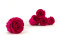 A Box Containing 8 Large Preserved Rose Heads in Hot Pink From Kiara